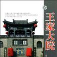 王家大院(2012年山西經濟出版社出版的圖書)