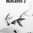 我抓到你了 我抓到你了