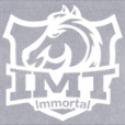 IMT戰隊 IMT戰隊