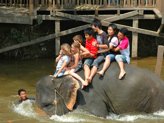 瓜拉甘達大象保育中心
