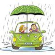車輛涉水險 車輛涉水險