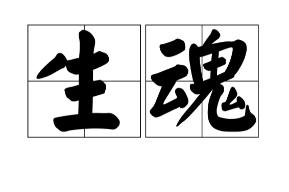 生魂(漢語詞語) 生魂(漢語詞語)