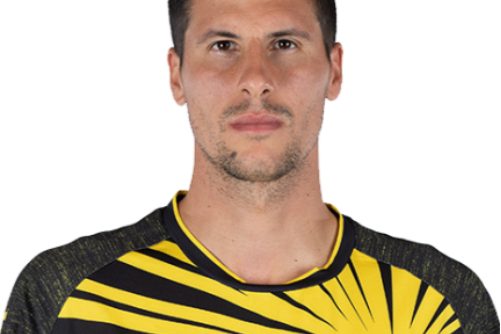 斯蒂佩·佩里卡(Stipe Perica) 斯蒂佩·佩里卡(Stipe Perica)