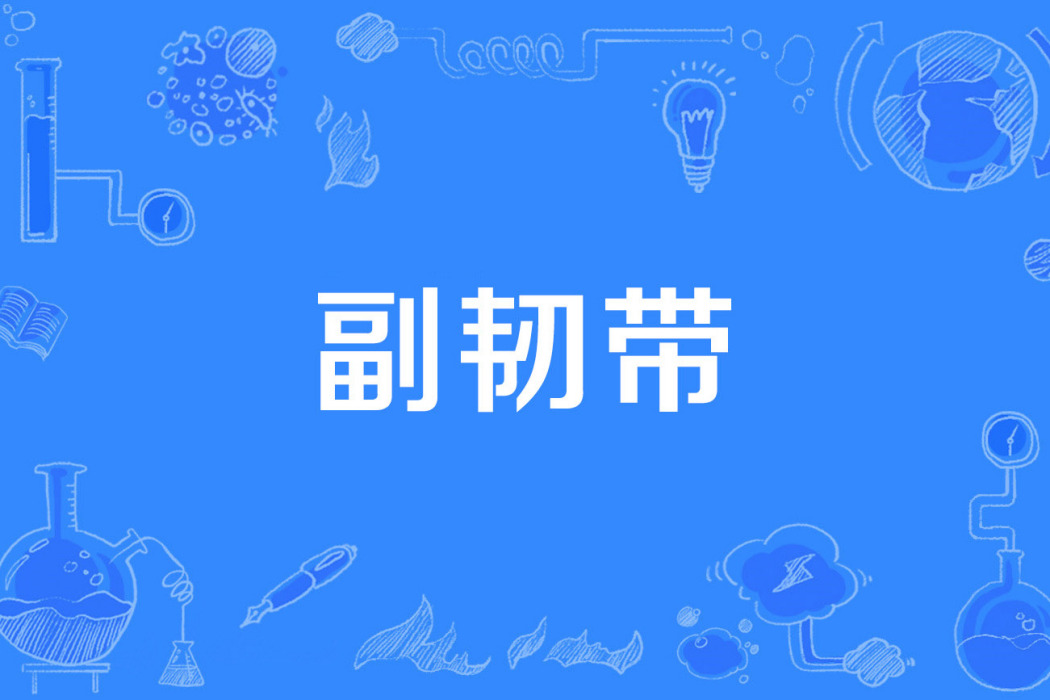 副韌帶 副韌帶