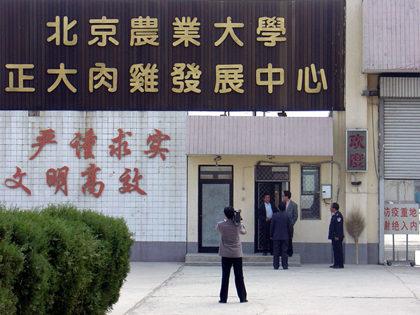中國農業大學正大涿州肉雞發展中心