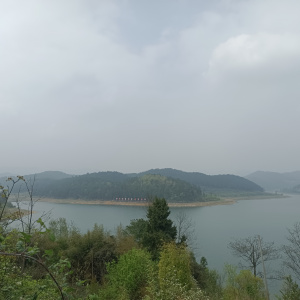 野紀河