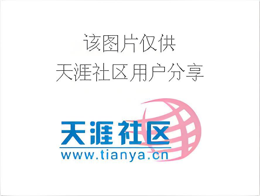 龍湯美人 龍湯美人