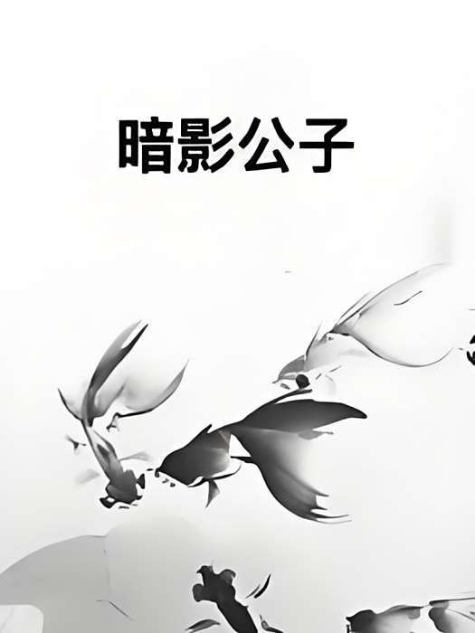 暗影公子 暗影公子