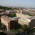布拉格經濟大學