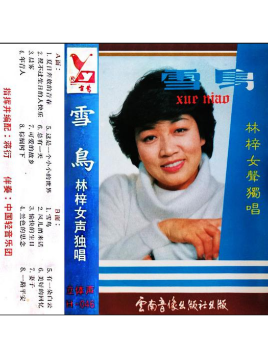 一路平安(林梓演唱的歌曲) 一路平安(林梓演唱的歌曲)