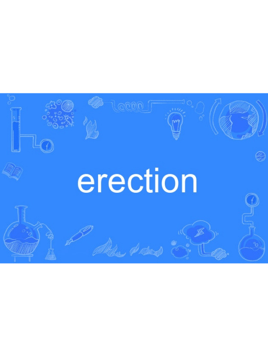 erection erection