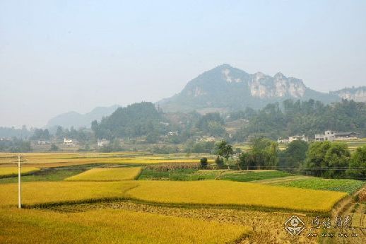 丁寨村(河南省淮濱縣張里鄉丁寨村) 丁寨村(河南省淮濱縣張里鄉丁寨村)