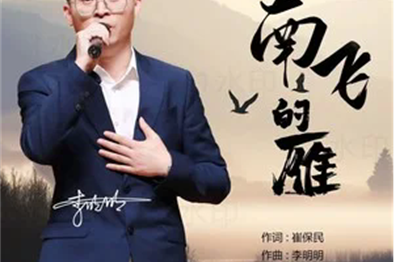 南飛的雁(歌曲《南飛的雁》)