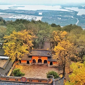 報國藏海寺 報國藏海寺
