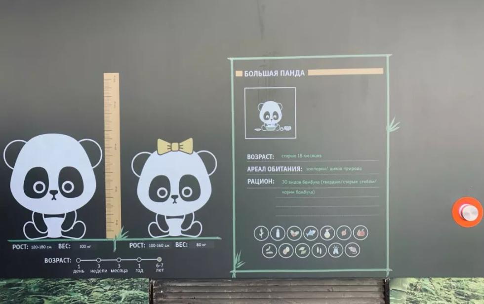 莫斯科熊貓館室內電子展示屏