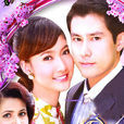 浮華世家(2009年泰國電視劇)