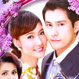 浮華世家(2009年泰國電視劇) 浮華世家(2009年泰國電視劇)