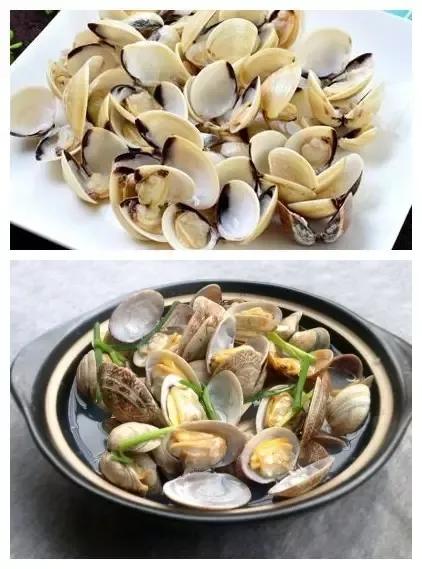 海蛤殼(中藥)