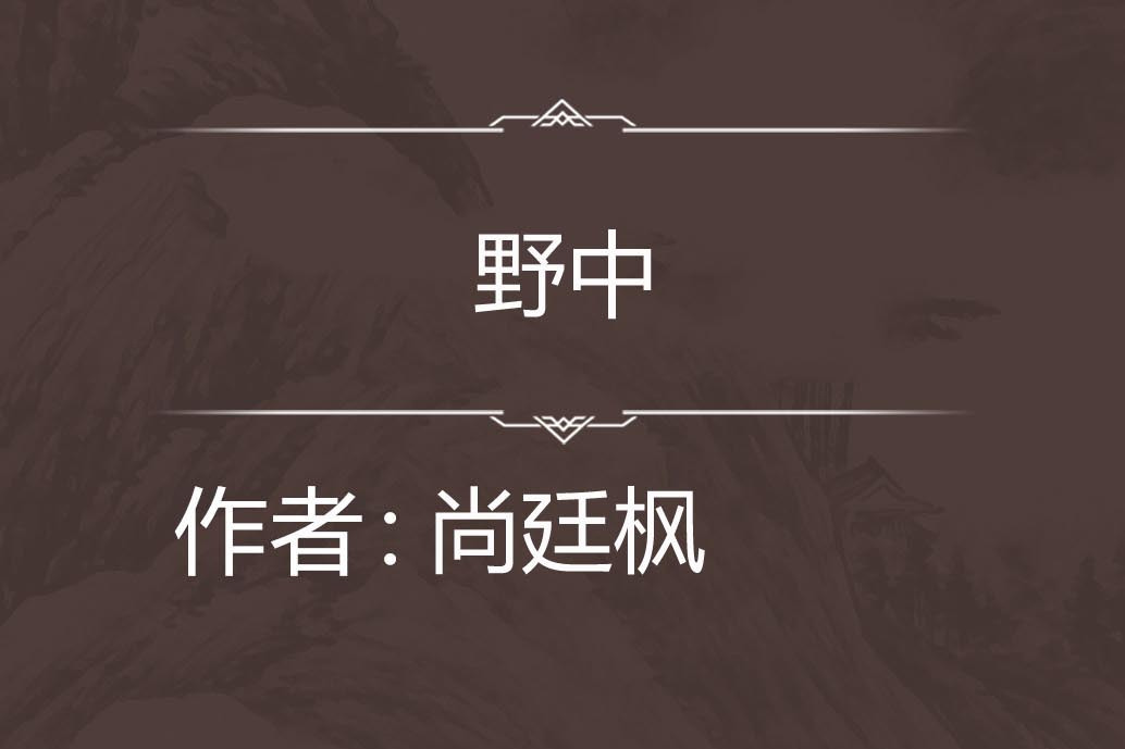 野中