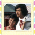 無花果(1976年TVB時裝單元劇)