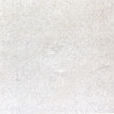 廣西白-1 廣西白-1