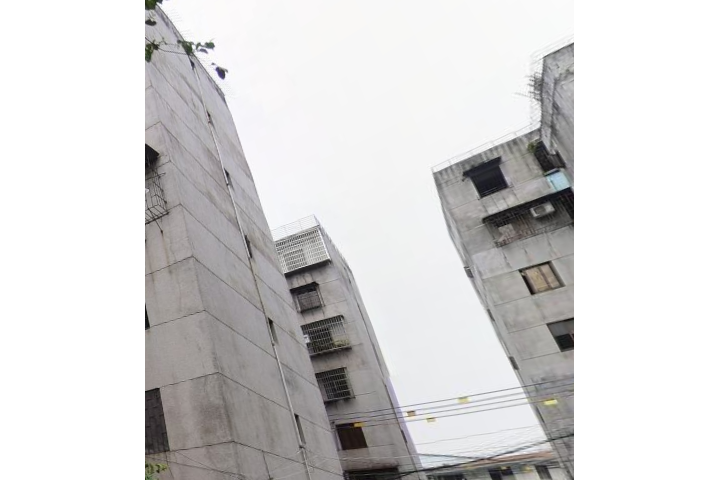 龍恩花園 龍恩花園
