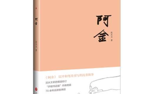 阿金(2021年天地出版社出版的圖書) 阿金(2021年天地出版社出版的圖書)
