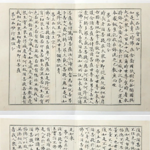 王興華