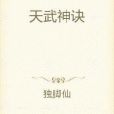 天武神訣 天武神訣