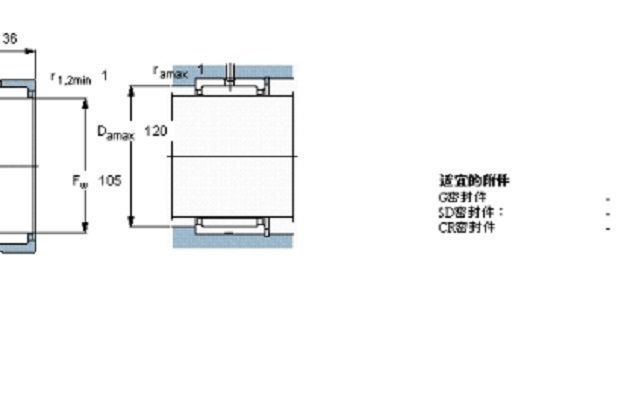 SKF NK105/36軸承 SKF NK105/36軸承