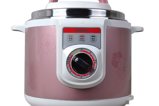 格蘭仕YA501JE
