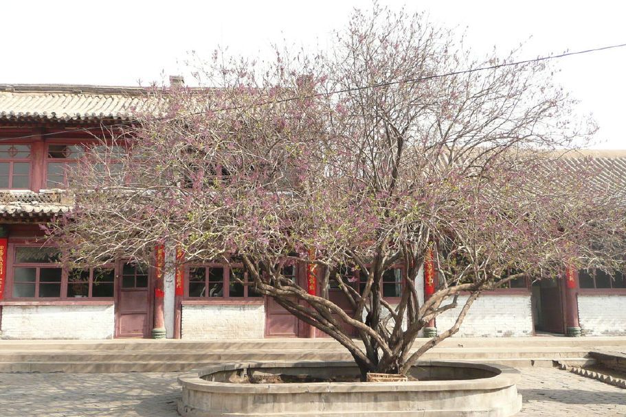 葉家大院 葉家大院