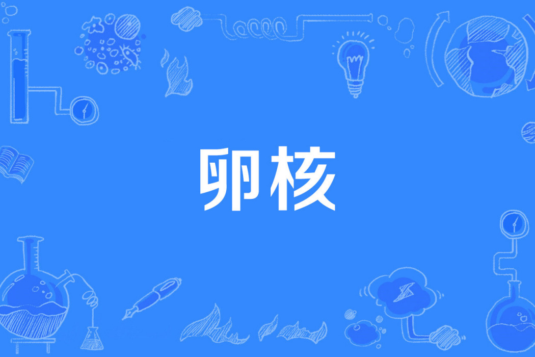 卵核 卵核