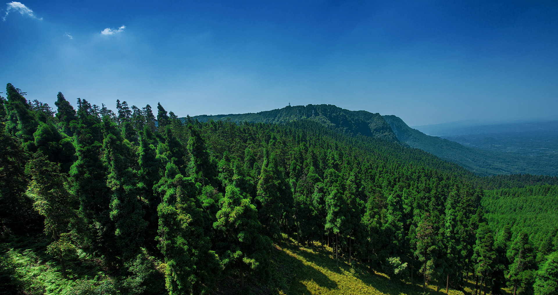 瓦屋山國家森林公園（塗小雄 攝）