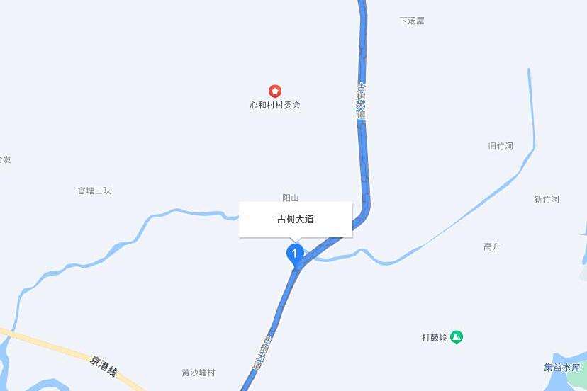 古樹大道 古樹大道