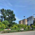中直路 中直路