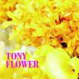 TONY FLOWER