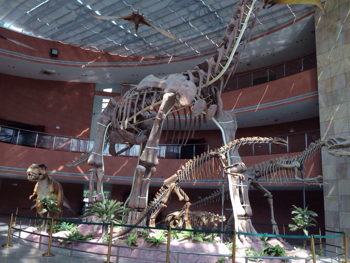 河源市博物館恐龍