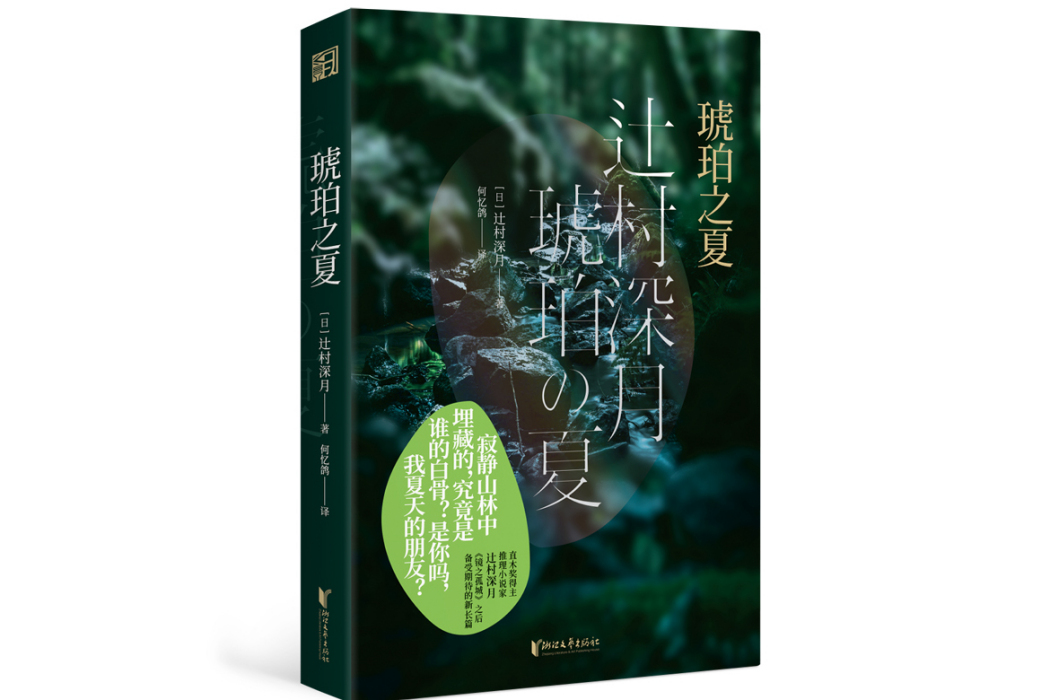琥珀之夏(2024年浙江文藝出版社出版的圖書) 琥珀之夏(2024年浙江文藝出版社出版的圖書)