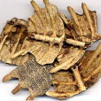 納鱉甲