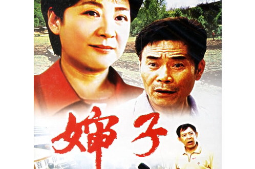 嬸子(2003年中國電影)