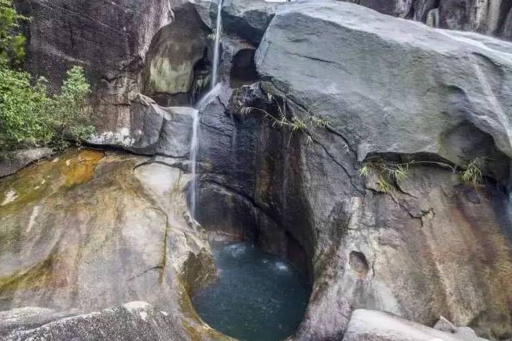 龍獅殿 龍獅殿