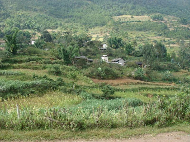 半坡河村 半坡河村