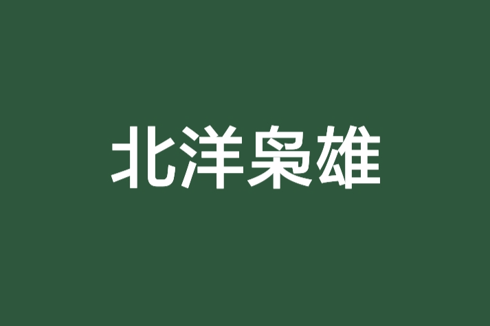 北洋梟雄 北洋梟雄
