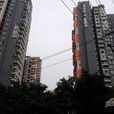 林正橙堡 林正橙堡