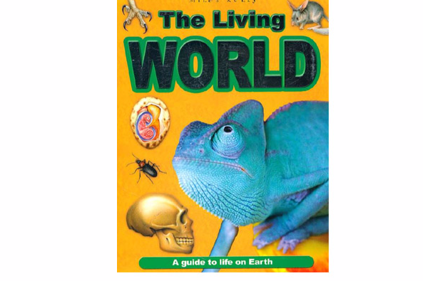 Living World Living World