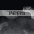 踏破陰翳 踏破陰翳