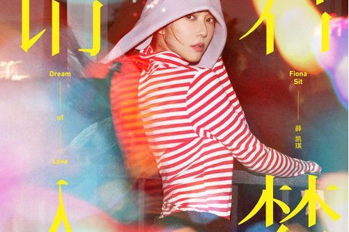 我不完美(薛凱琪演唱的歌曲) 我不完美(薛凱琪演唱的歌曲)