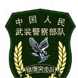 獵鷹突擊隊
