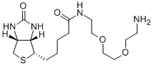 N-生物素-3,6-二氧辛烷-1,8-二胺